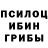 Псилоцибиновые грибы GOLDEN TEACHER Patrik Play