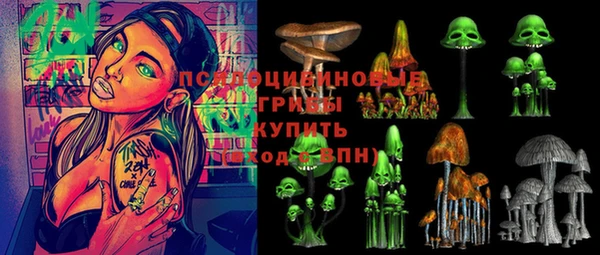 герыч Бронницы
