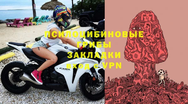молекула духа Бугульма